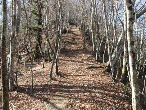 20161206hike (197)